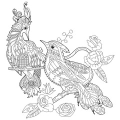 Contour linear illustration for coloring book with paradise bird in flowers. Tropic bird, anti stress picture. Line art design for adult or kids in zen-tangle style, tattoo and coloring page.