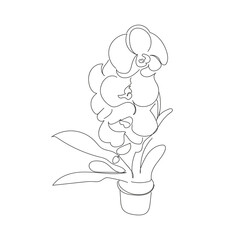 Orchid black drawing on white background in line-art style