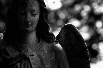Black and white image of beautiful angel with broken wing. Horizontal image.