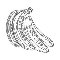Banana icon in outline style isolated on white background. Fruits symbol stock vector illustration.