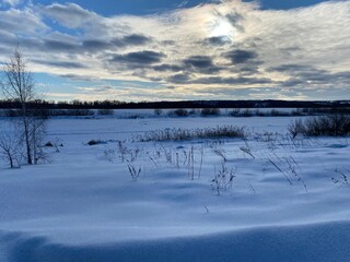 Winter landscape. Snow field. Edge of the forest.