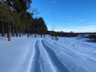 Naklejka premium Winter dirt road along the forest. Winter landscape.