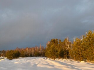 End of winter. The forest is illuminated by the warm rays of the evening sun.