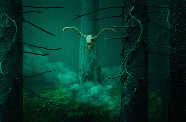 Horned skull on tree in smoke in dark forest. Pagan druid worship ritual 