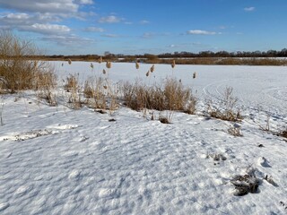 The lake is covered with snow in winter. Old reed on the shore.