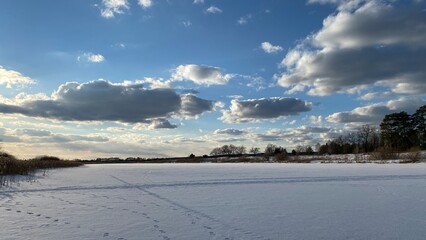 Winter landscape. Snow field. Edge of the forest.