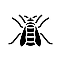 bumblebee insect glyph icon vector. bumblebee insect sign. isolated contour symbol black illustration