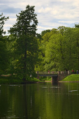 Obraz premium _DSC20150529l5