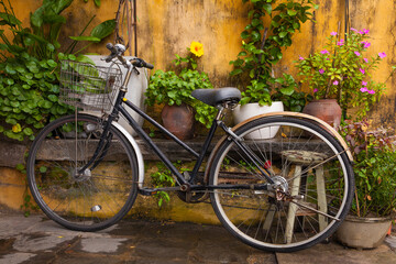An old, vintage bike rests against an old, weathered wall and lush, green plants in Hoi An, Vietnam
