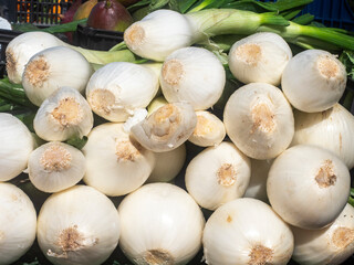 Montón de cebollas en el mercado