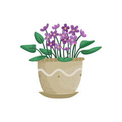 Vector illustration of a violet in a pot.