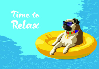 Fototapeta na wymiar Pug swimming in the pool on an inflatable donut. Quote time to relax. Print for postcard, poster, internet, t-shirt, stickers