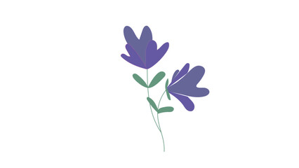 Purple flowers, Lila, flower, minimalist flower, plant, nature 