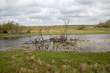 View of Katinger Watt on the Eider river just before the North Sea in Toenning, Schleswig Holstein, Germany