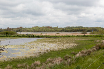 View of Katinger Watt on the Eider river just before the North Sea in Toenning, Schleswig Holstein, Germany