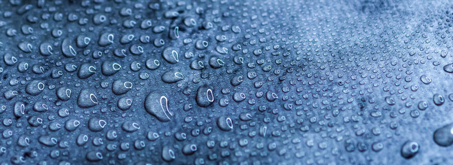 Water drops on an abstract surface. Wallpaper