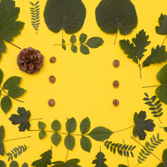 Green leaves placed on a yellow background with copy space. Minimalistic flat lay scene.