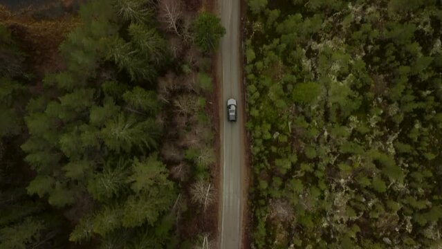Zoom Out Landrover driving Norwegian Forest Road Lake 4K 30fps