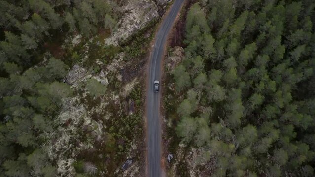 Upward Motion Landrover Norwegian Dark Forest Road 4K 30fps