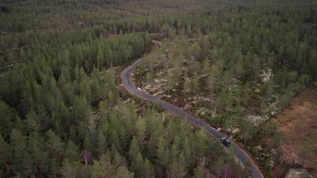 Follow Landrover over Curvy Norwegian Forest Road Warm Tones 4K 30fps