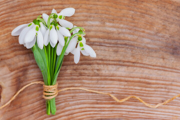 snowdrops are folded into a bouquet and beautifully tied with a rope on a wooden background. first spring flowers