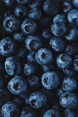 Food photo fresh blueberry berry