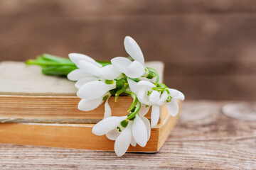 bouquet of spring white snowdrop flowers on books on a rustic wooden table close-up
