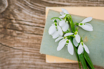 white snowdrops lie on the cover of an old book on a rustic wooden table, top view. first spring flowers