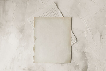 Empty space for the text. An old blank notebook sheet  on a light background.