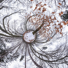 Fototapety na wymiar - Fototapeta24.pl