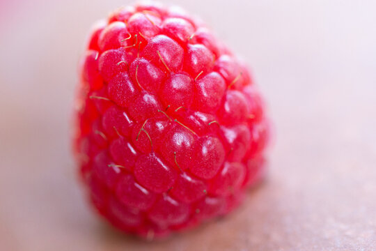 Raspberry Close Up