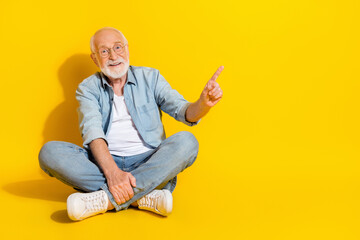 Portrait of attractive smart cheerful grey-haired man sitting showing offer copy space isolated...