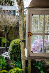 Flowers and lantern in garden
