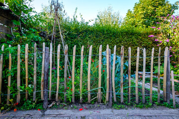 Vegetable garden with fence