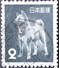 Japan - circa 1953: a postage stamp from Japan, showing a dog, Akita Inu (Canis lupus familiaris)