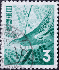 Japan - circa 1954: a postage stamp from Japan, showing a Lesser Cuckoo (Cuculus Poliocephalus)