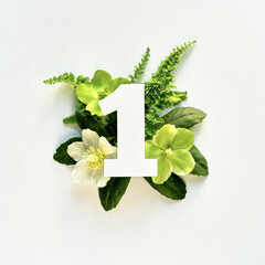 Number one cut out of white paper. White and green helleborus winter rose flowers, fern leaves....
