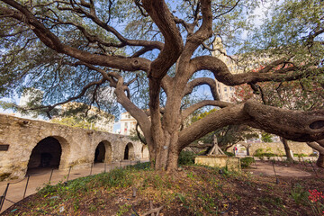Sunny view of The Alamo