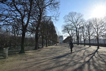 Lever de soleil au jardin des Tuileries à Paris. France
