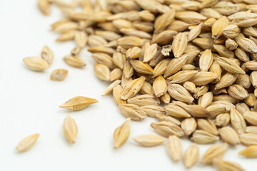 Barley seeds on a monochrome background