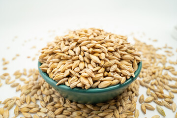 Barley seeds on a monochrome background