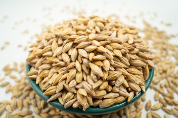 Barley seeds on a monochrome background