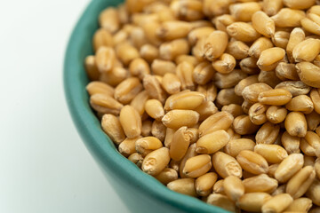 Wheat seeds on a monochrome background
