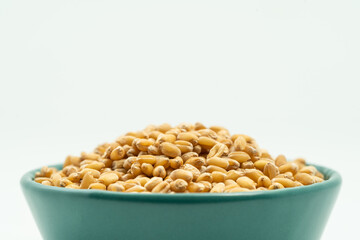 Wheat seeds on a monochrome background