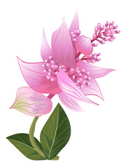 Exotic pink flower. Tropical blooming bouquet. Jungle flora