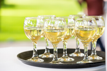 Full glasses with white wine on a tray