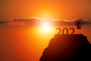 Fototapeta premium Concept of New 2021 growth and development prospects.Human silhouette