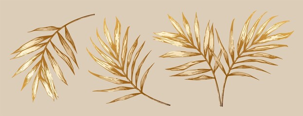Golden palm leaves. Hand-drawn elements for luxury design. Vector illustration. Summer, tropical, voyage, beach vibe.