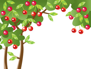 Cherry tree with red berries
