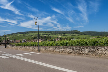 View to the road and vineyard in Burgundy Bourgogne home of pinot noir and chardonnay in summer day...